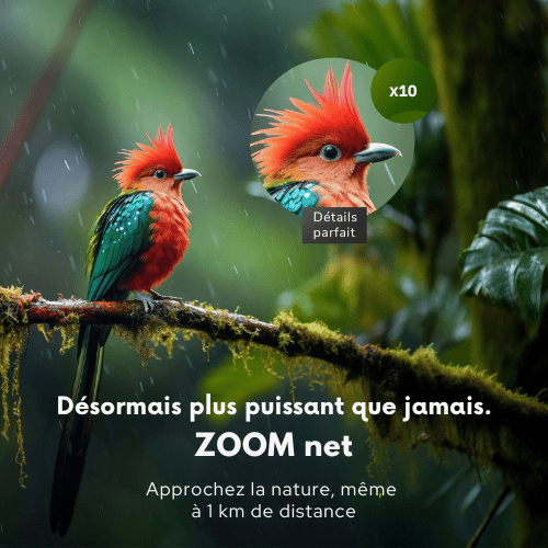 Jumelles de randonnée Lynx® 10x42 – Précises, Lumineuses et Robustes - KALPANA