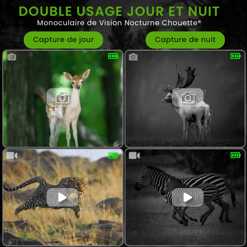 Monoculaire de Vision Nocturne Chouette® – Zoom X15 & Enregistrement Full HD - KALPANA